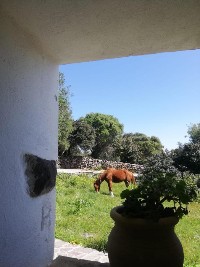 Bed and Breakfast Sa Ruscitta SantʼAntìoco Exterior foto