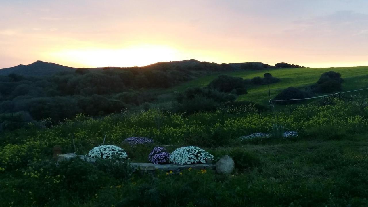 Bed and Breakfast Sa Ruscitta SantʼAntìoco Exterior foto